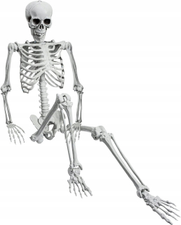 SKELETOR SKELETOR HALLOWEEN SKELETOR 165cm